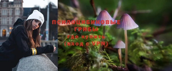 герыч Зерноград