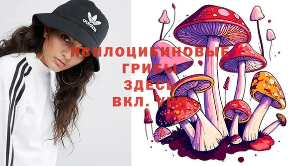 Альфа ПВП Зеленодольск