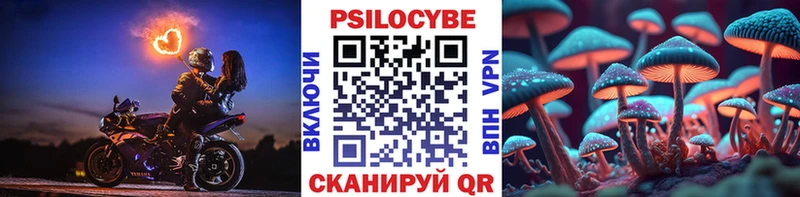 Галлюциногенные грибы Cubensis  Купить где  Кондопога 